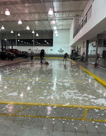 WhatsApp Image 2025-08-12 at 19.01.24 (1)